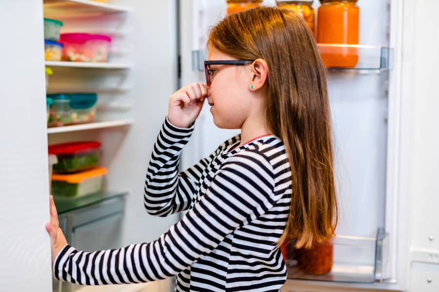 بوی بد یخچال